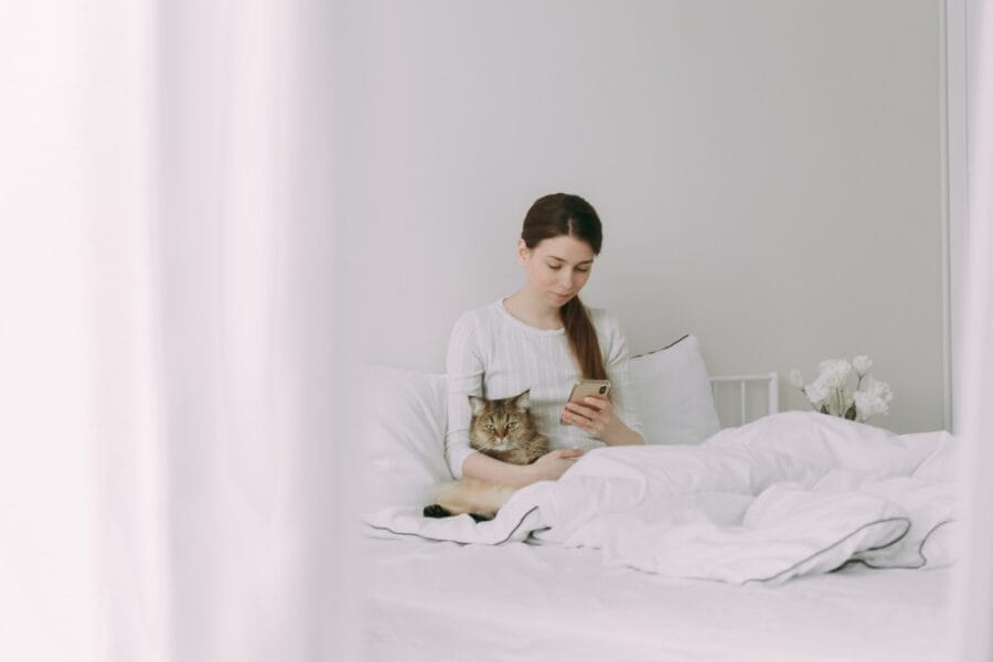 young woman behind with smartphone texting message in white bed at home in the morning technology t20 1nrePv
